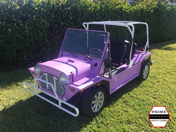 affordable golf cart rental, golf cart rent fernandina beach, cart rental fernandina beach
