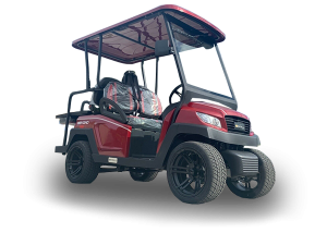 golf car rental fernandina beach, golf cart rental near me, cart rental fernandina beach